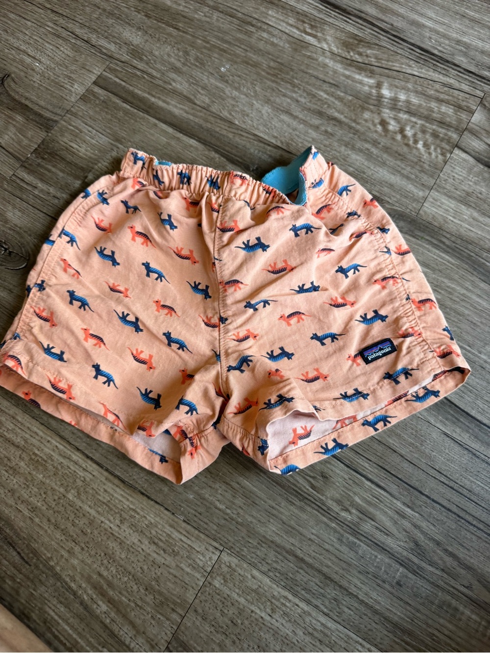 Patagonia baby toddler boys baggies size 2T dinosaur print